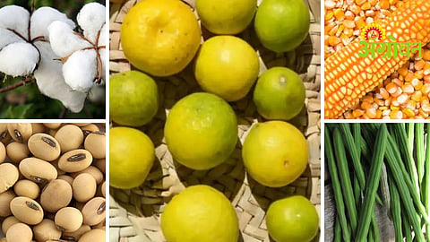 Agrowon Podcast