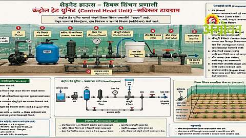 Drip Irrigation System
