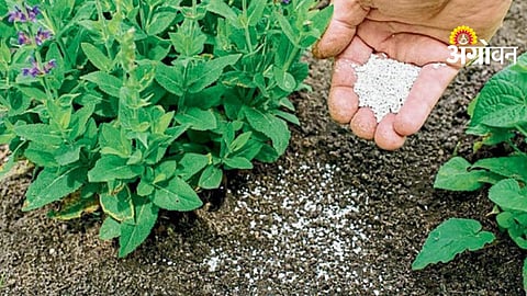 Agriculture WhatsApp Service