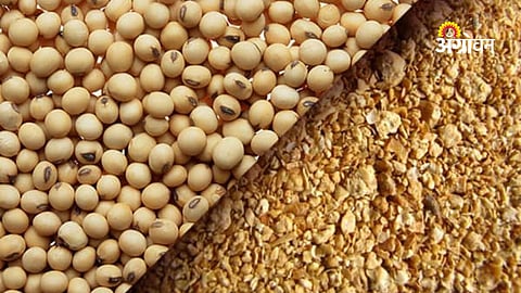 Agricultural commodity export slowdown