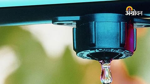 Government Rejects Drip Irrigation Price Hike Proposal