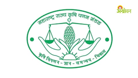 Maharashtra marketing department controversial transfers