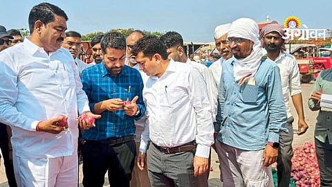 NAFED Onion Procurement
