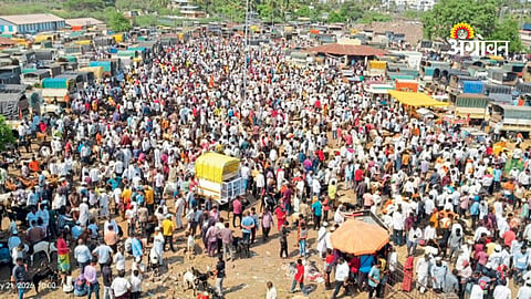 Maharashtra livestock market latest updates