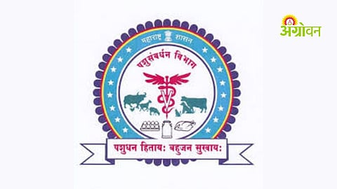 Animal Husbandry Department