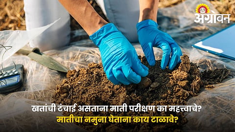 Soil Testing Helps Save Fertilizers and Improve Yield