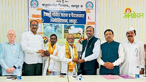 Devani Cattle Conservation