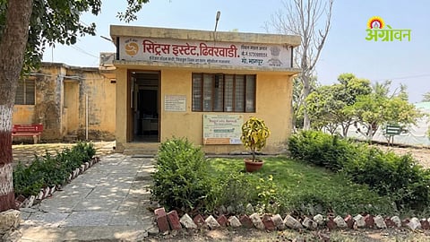 Dhiwarwadi Citrus Estate 