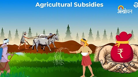 Government subsidy for horticulture farmers in Kolhapur district