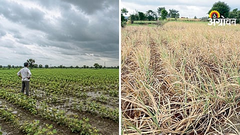 Crop Insurance Policy