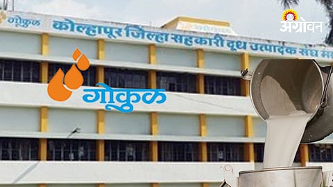 Kolhapur Gokul Dudh Sangh Election 2026