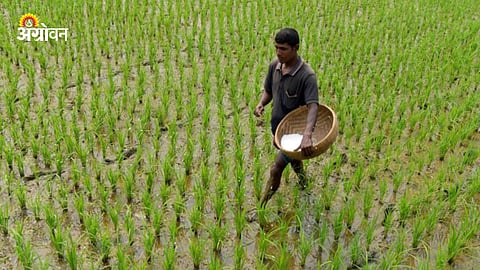 Fertilizer Stock