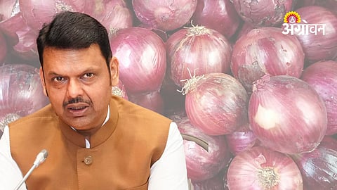 Onion Price Crisis