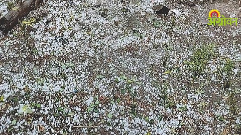 Rain Crops Damage