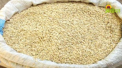 Summer Paddy Procurement