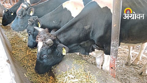 Livestock Methane Emission Management