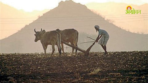 agriculture crisis affecting farmers in Maharashtra