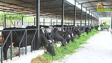 Livestock Management Workshop