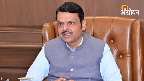 Government Employee Transfers Policy, Maharashtra Cabinet Decisions