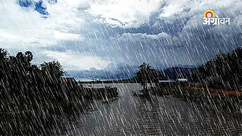 IMD latest monsoon update for Kerala