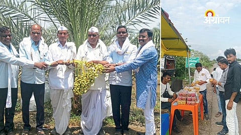 Jawale brothers success story in fruit farming