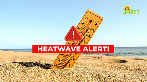 Red alert issued for heatwave in Vidarbha