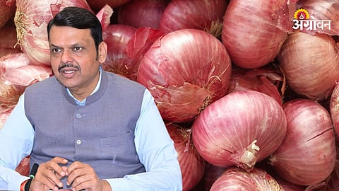 Onion Procurement