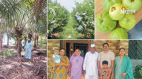 Walunj family success story in fruit orchard farming