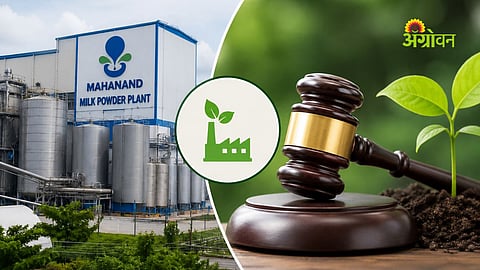 NGT orders pollution control for Mahanand project