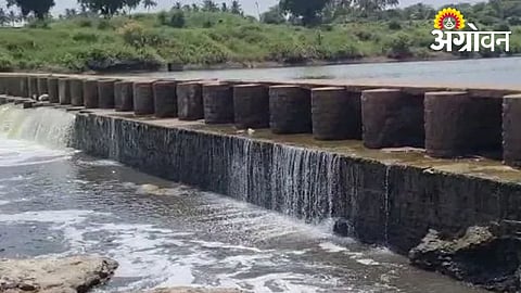 Sangli Faces Rising Water Scarcity as Reservoir Levels Decline