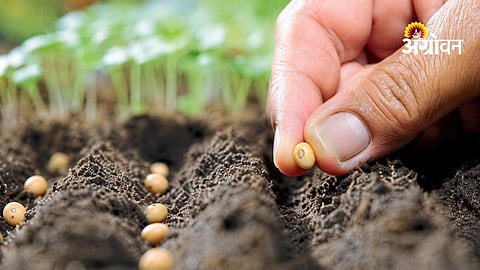 Seed Purchase Tips