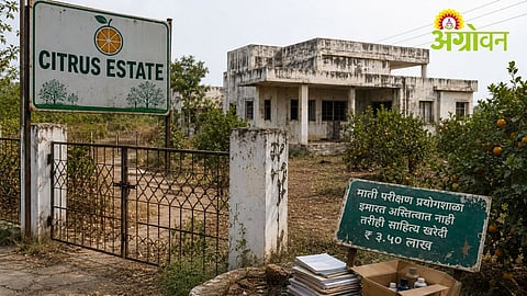 Mismanagement Allegations Surface in Wardha Citrus Estate Project