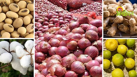 Agrowon Podcast