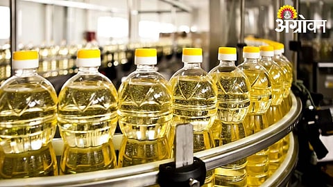 Applications Invited for Oilseed Value Chain Partners in Akola