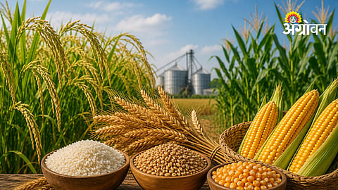 Foodgrain Production