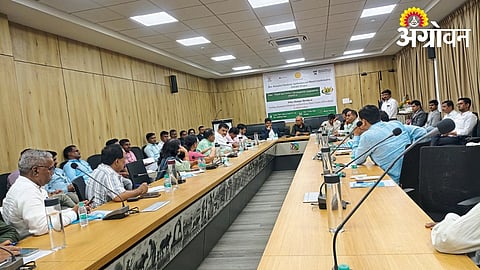 Indo Maize and Millets Association Focuses on Maize Value Enhancement