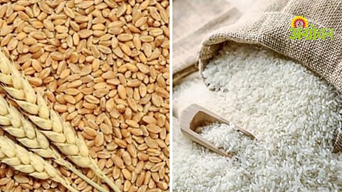 India Foodgrain Production
