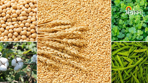 Agriculture Commodity Market Rates
