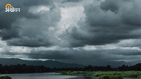 Marathwada Rain Forecast