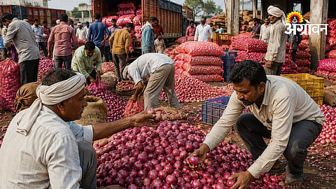 Onion Procurement