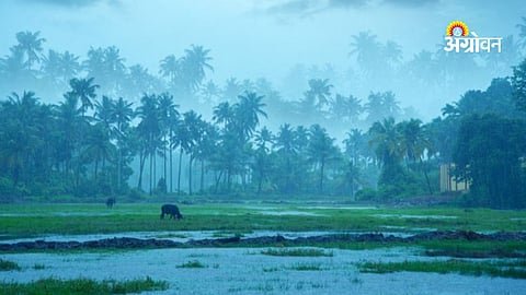 Rainfall prediction in Maharashtra