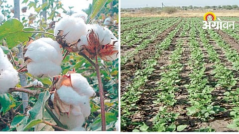 Agriculture Government Schemes