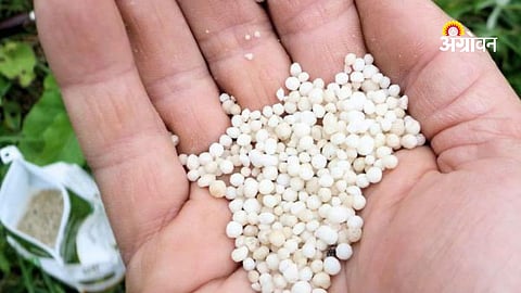 Global conflict impact on farming inputs