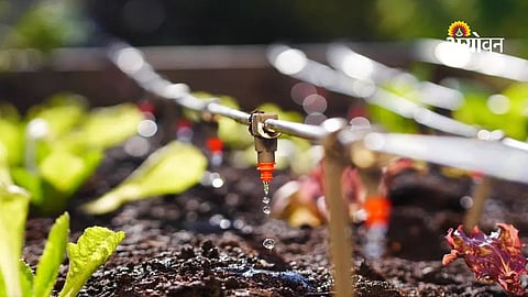 drip irrigation companies demand reforms in micro irrigation schemes