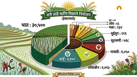 Paddy farming preparations in Nashik district