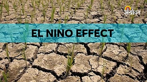 Climate crisis beyond El Nino in India