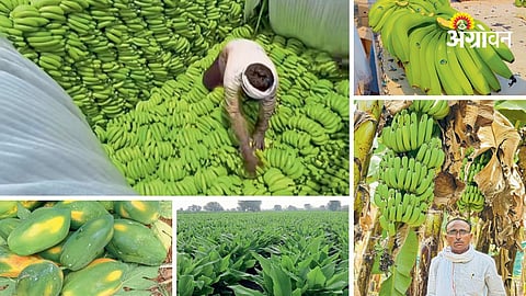 Agriculture Success Story