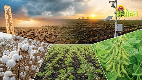 Kharif Agriculture Planning
