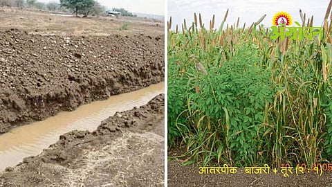 Rainfed Farming