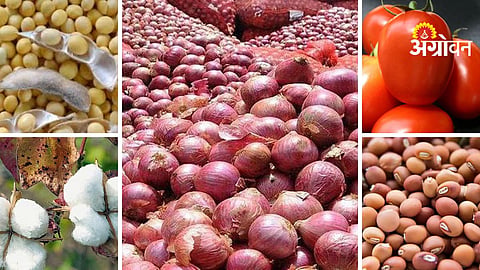 Agrowon Podcast